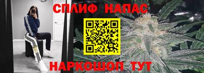 трава Нальчик